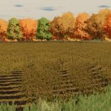 Graystone Farm Row Crop Ready V1 0 0 0 FS25 FS22 Mod