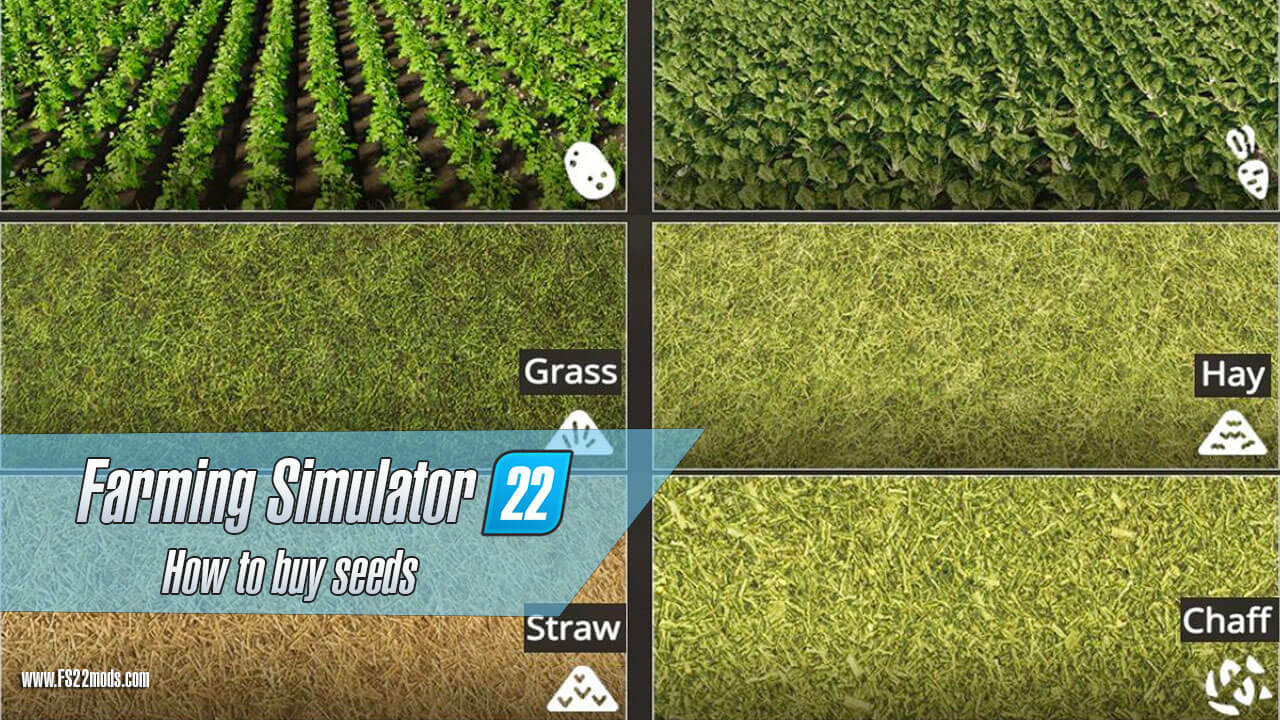 How To Buy Seeds On Farming Simulator 22 Where To Get Seeds 3425