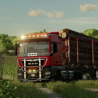 MAN TGX Forest Semi Truck V FS Mod