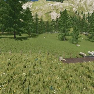 Large Outdoor Sheep Pasture V Fs Fs Mod